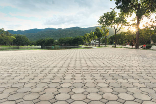 Best Brick Driveway Pavers  in Vista, CA
