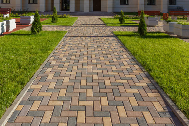 Best Driveway Paving Contractor  in Vista, CA